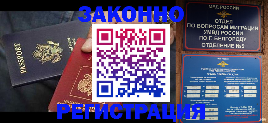 прописка законно в Кашине